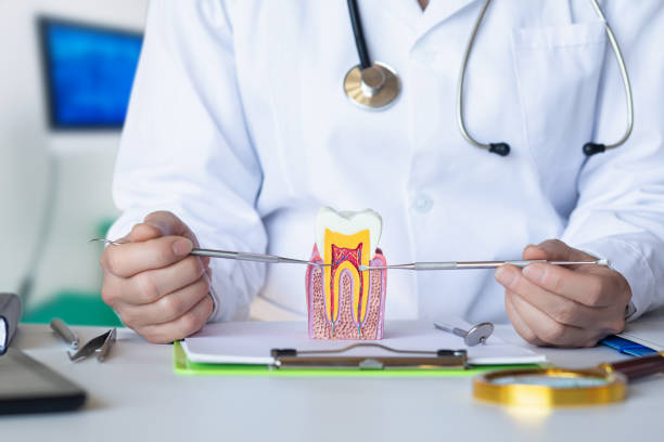 Best Mobile Emergency Dentist in North Las Vegas, NV